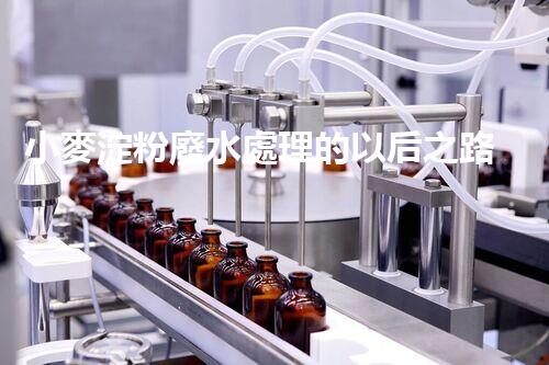 小麥淀粉廢水處理的以后之路：創(chuàng)新與可持續(xù)進展？